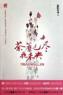 Đồ Mi Đ&atilde; H&eacute;o, Đ&ecirc;m Chưa T&agrave;n