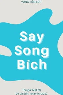 Say Song B&iacute;ch