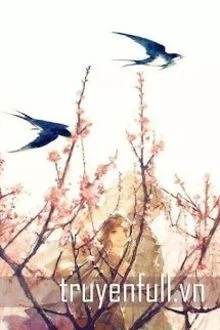 Sương Kh&oacute;i Giai Nh&acirc;n