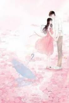 Một Đ&oacute;a Hoa Hồng Gai