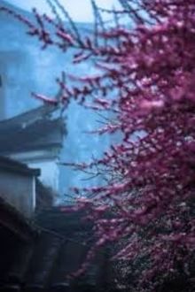 Kiều Phu Lang Nh&agrave; Thợ Săn